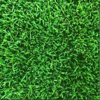 Sod grass image 1